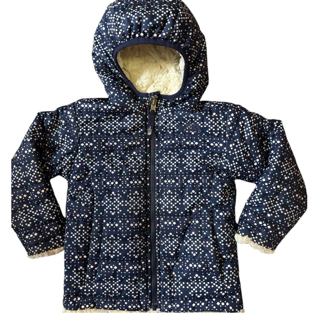 Toddler Girls' North Face Reversible Mossbud Swirl Jacket 3T